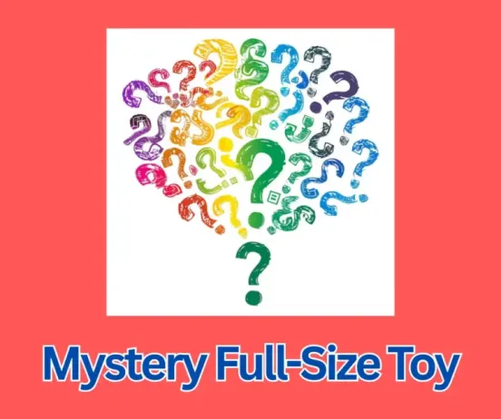 Mystery Full-Size Toy-3