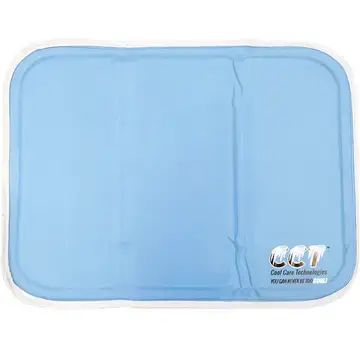 Cool Flash Pillow Pad v3