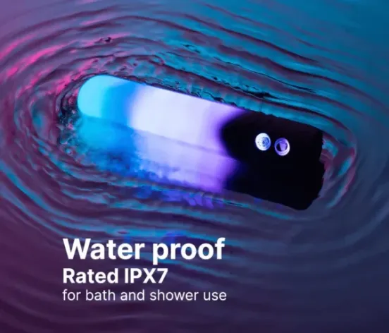 ParadiseIlluminationTheBullet6png