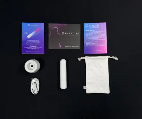 ParadiseIlluminationTheBullet9png