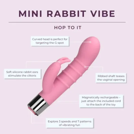 Mini-Rabbit-Vibe_DetailCard_EN