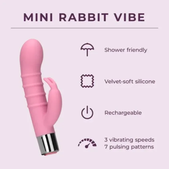 Mini-Rabbit-Vibe_FeatureCard_EN