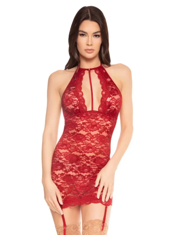 Sangria Lace Slip W Garters