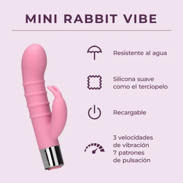 Mini-Rabbit-Vibe_FeatureCard_ES