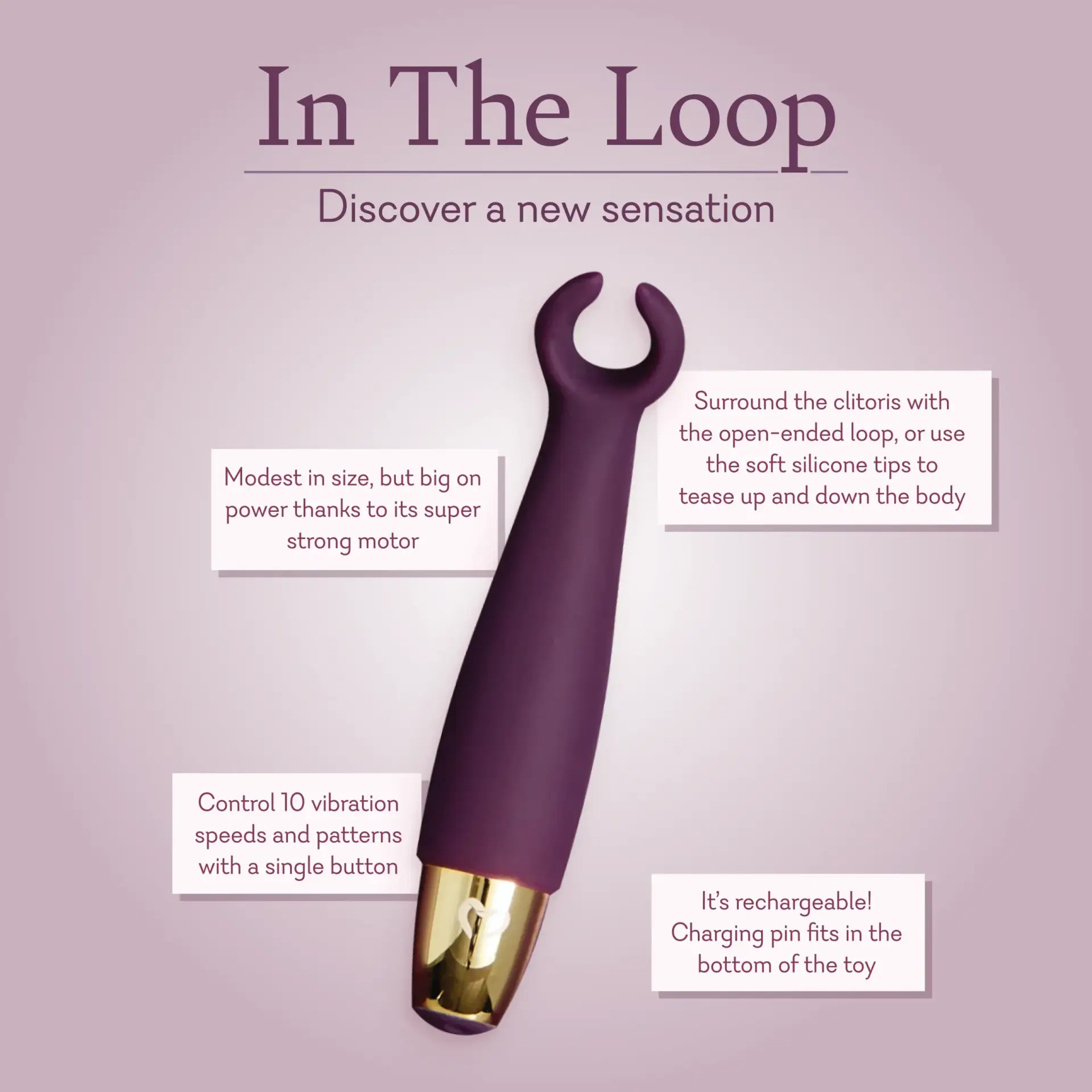 In The Loop v3 | Find Your Own Passion In The Loop v3