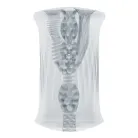 Trifecta See-Through | Find Your Own Passion Trifecta See-Through